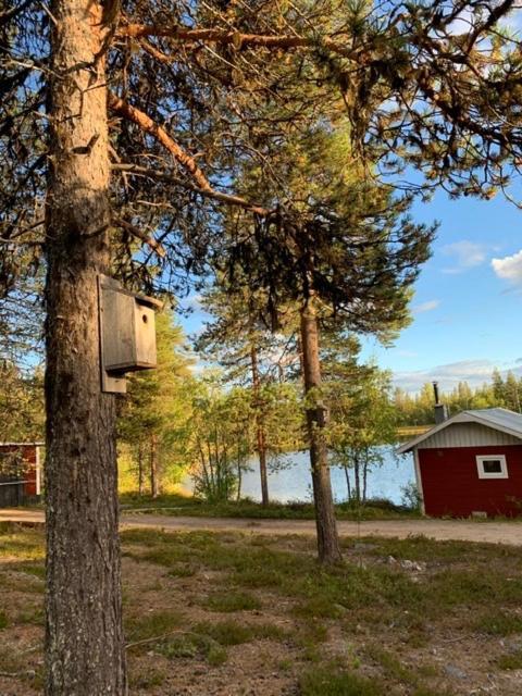 Off-Grid Cabin In Nattavaara Lapland Exterior foto