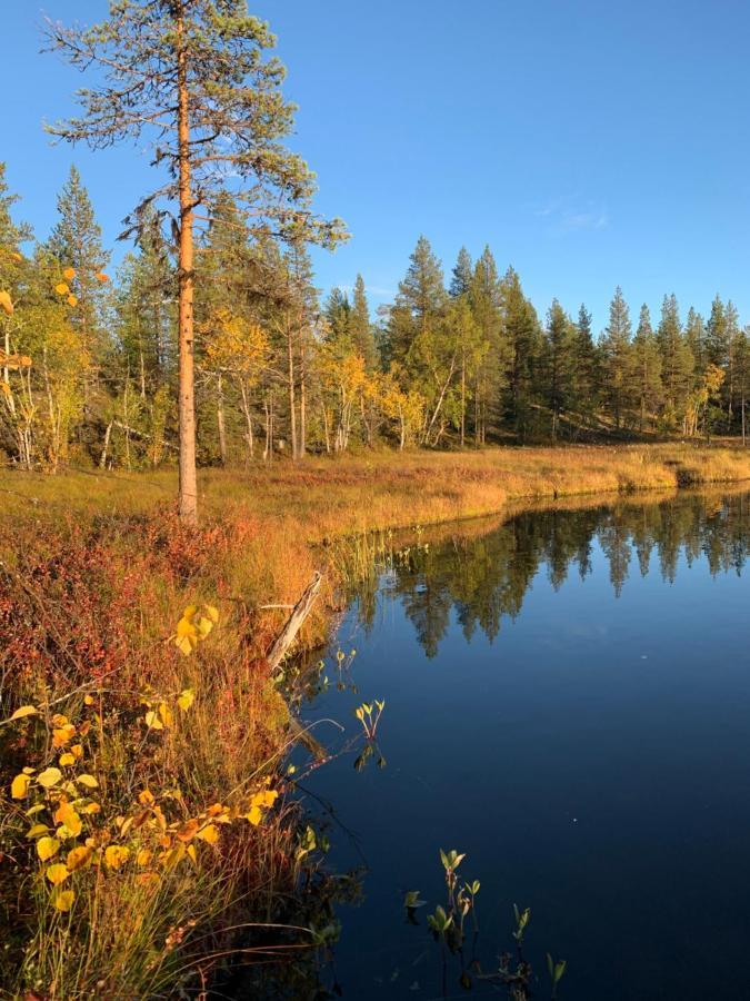 Off-Grid Cabin In Nattavaara Lapland Exterior foto