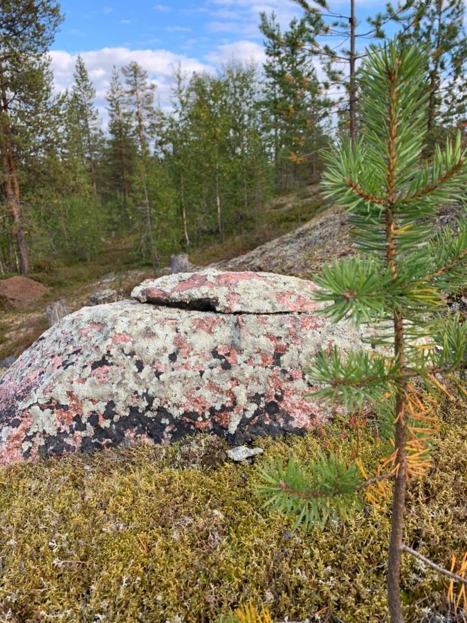 Off-Grid Cabin In Nattavaara Lapland Exterior foto