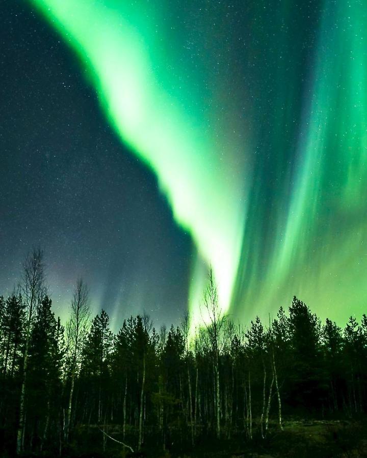 Off-Grid Cabin In Nattavaara Lapland Exterior foto